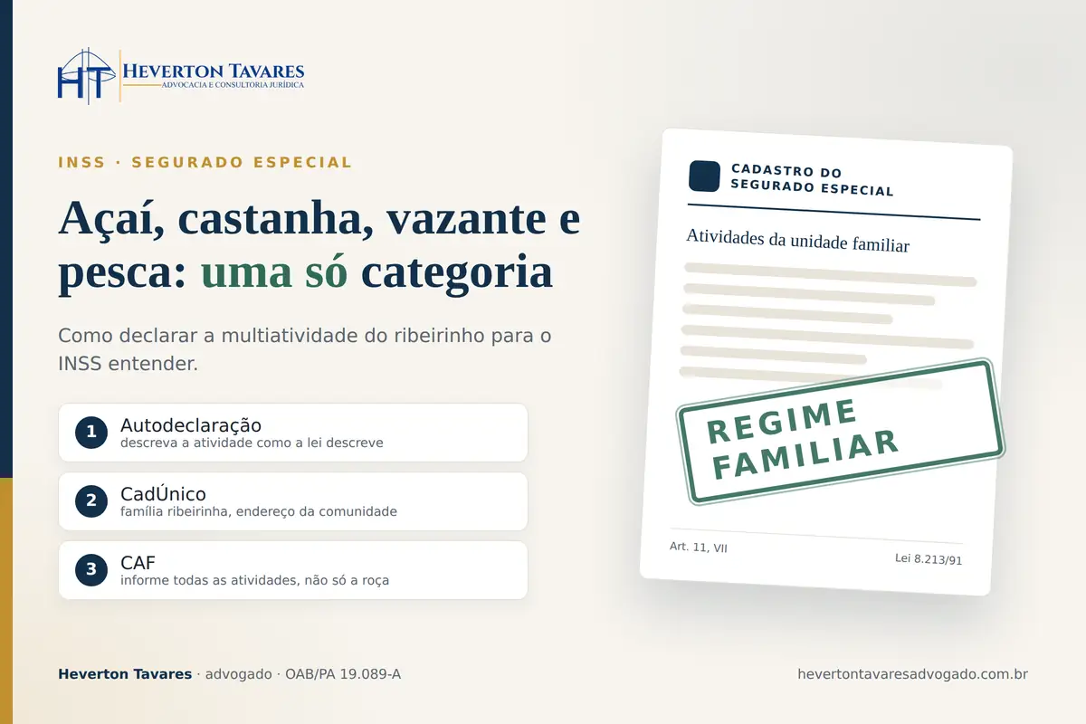 Açaí, castanha, vazante e pesca: multiatividade do ribeirinho e o INSS — capa do artigo de Heverton Tavares